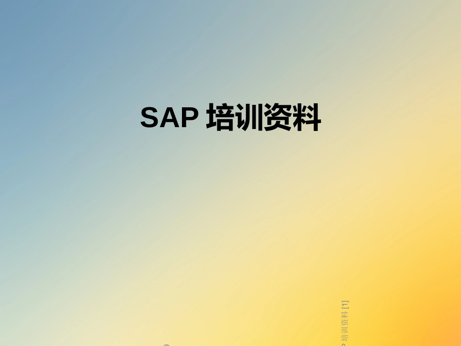 SAP培训资料_第1页