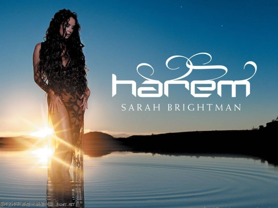 scarboroughfair读后感_第1页