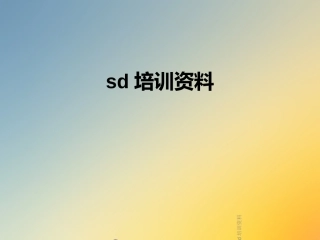 sd培训资料