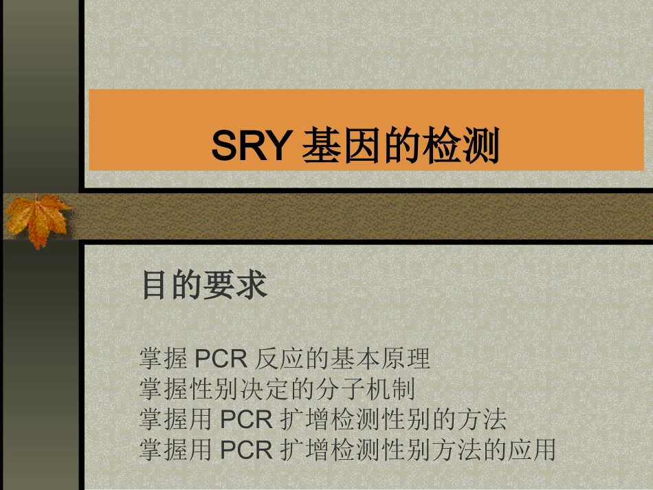 SRY基因的检测精_第1页