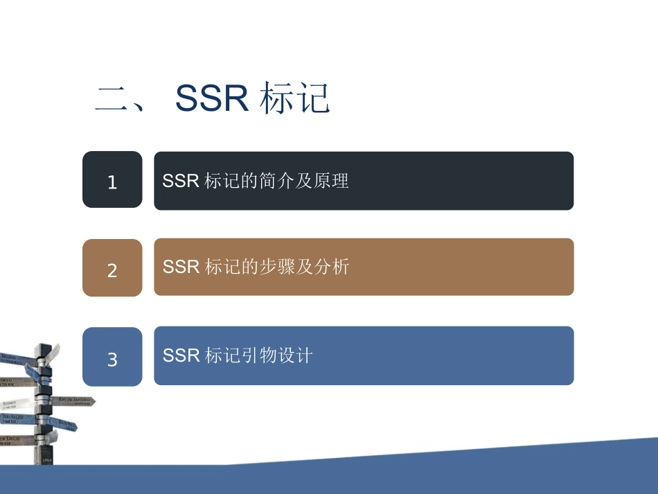 SSR分子标记剖析_第3页