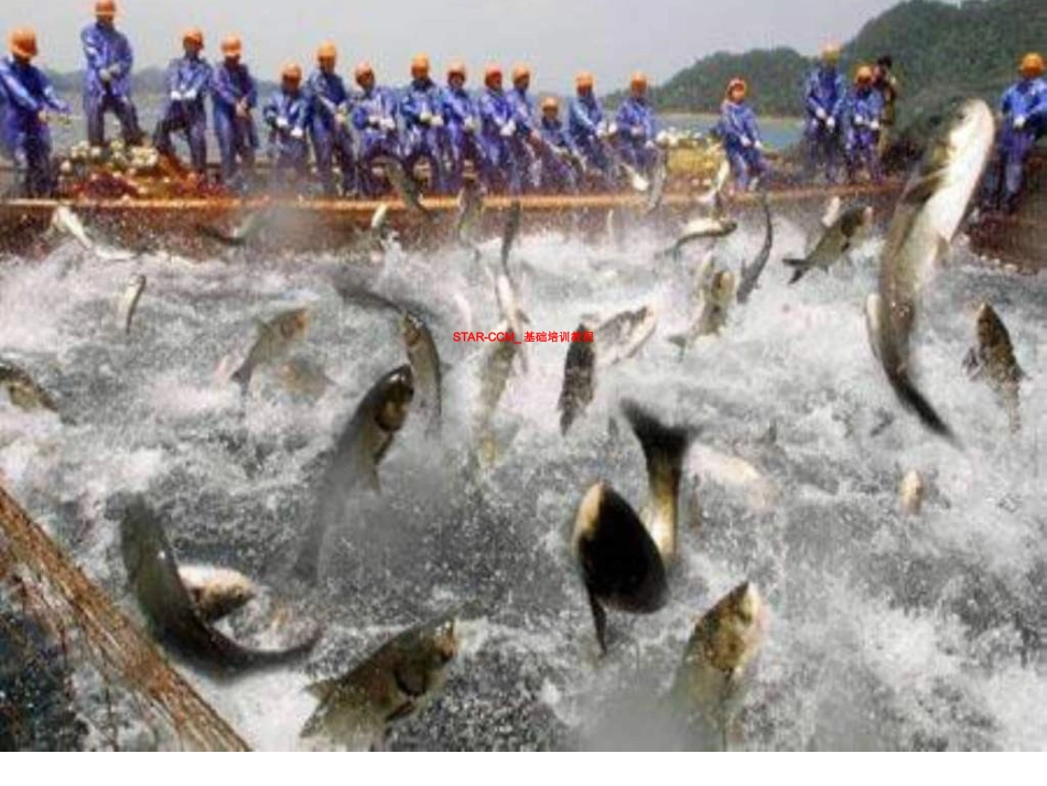 STARCCM基础培训教程_第1页