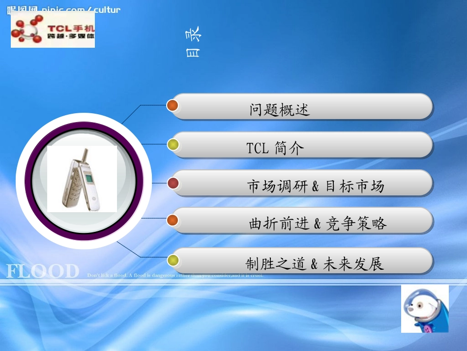 TCLswot案例分析_第2页