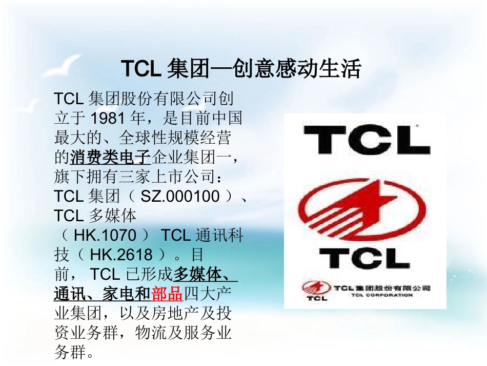 TCL案例分析_第2页