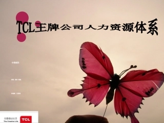 TCL案例分析