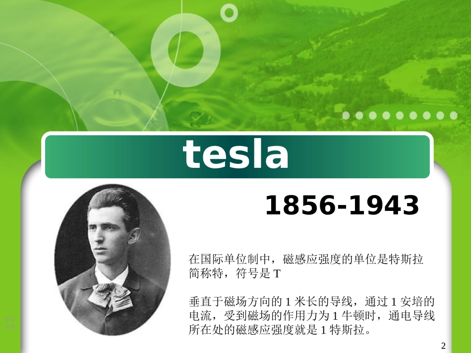 tesla特斯拉简介_第2页