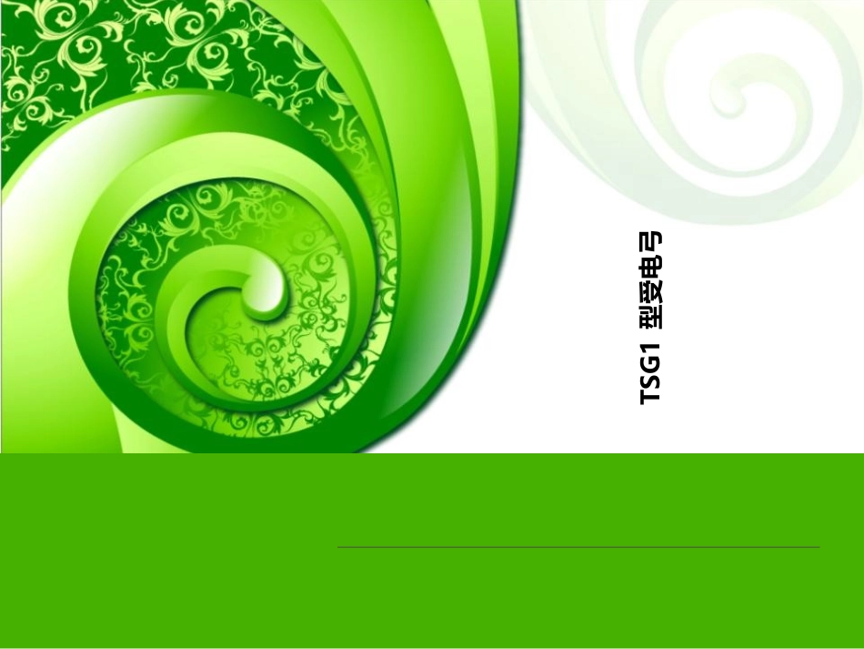 TSG1型受电弓_第1页