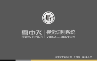 VI培训课件