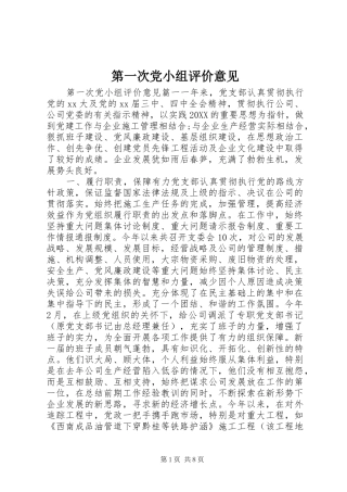 第一次党小组评价意见