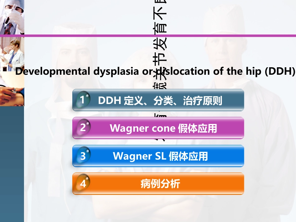 wagner假体课件_第2页