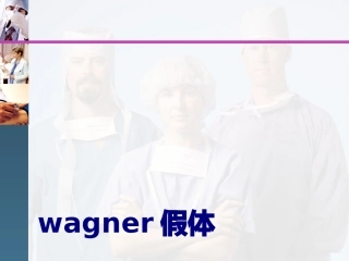 wagner假体课件
