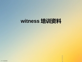 witness培训资料