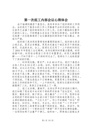 第一次组工内部会议心得体会