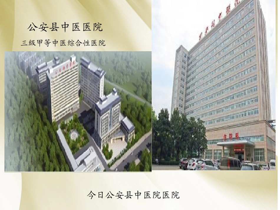 癌痛规范化治疗示范病房创建工作汇报优质课件_第3页