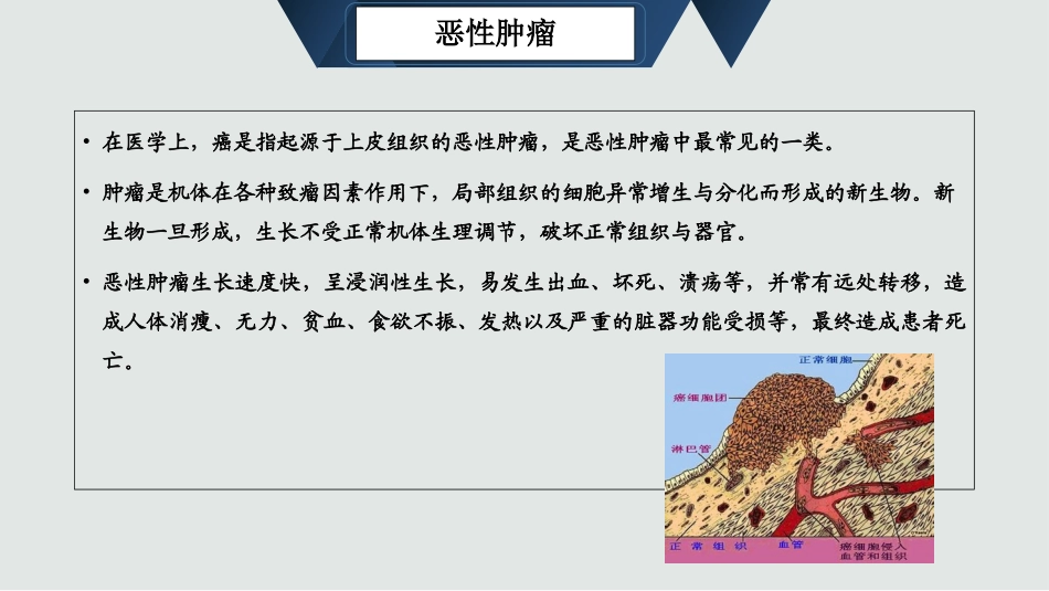 癌症晚期患者的护理优质课件_第3页