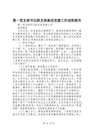 第一党支部书记抓支部基层党建工作述职报告