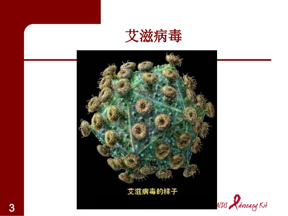 艾滋病讲课课件_第3页