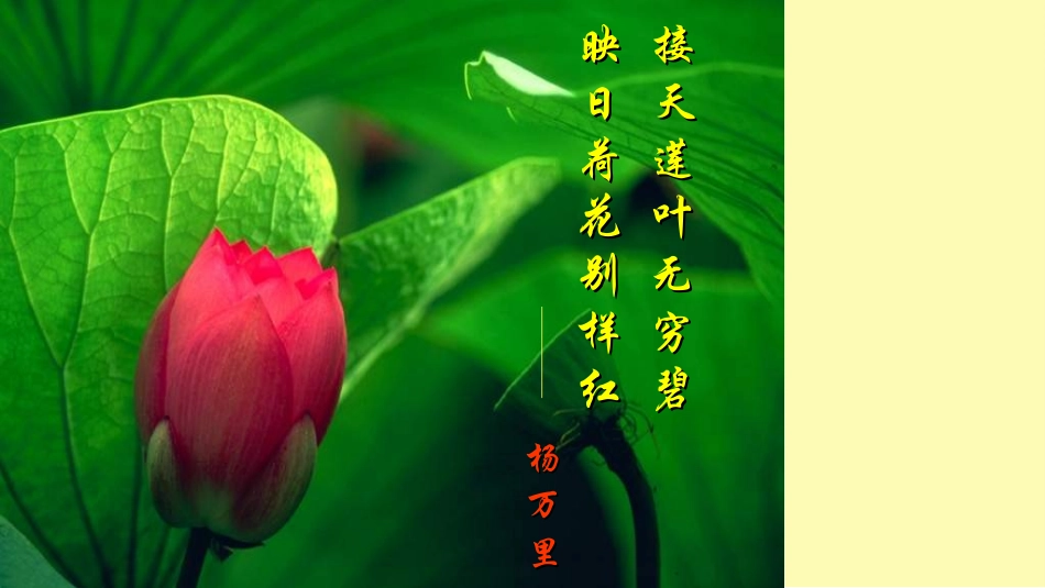 爱莲说优秀课件_第3页