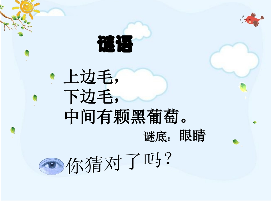 爱眼护眼课件_第2页