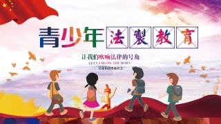 安全教育法制教育