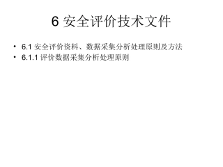 安全评价技术文件