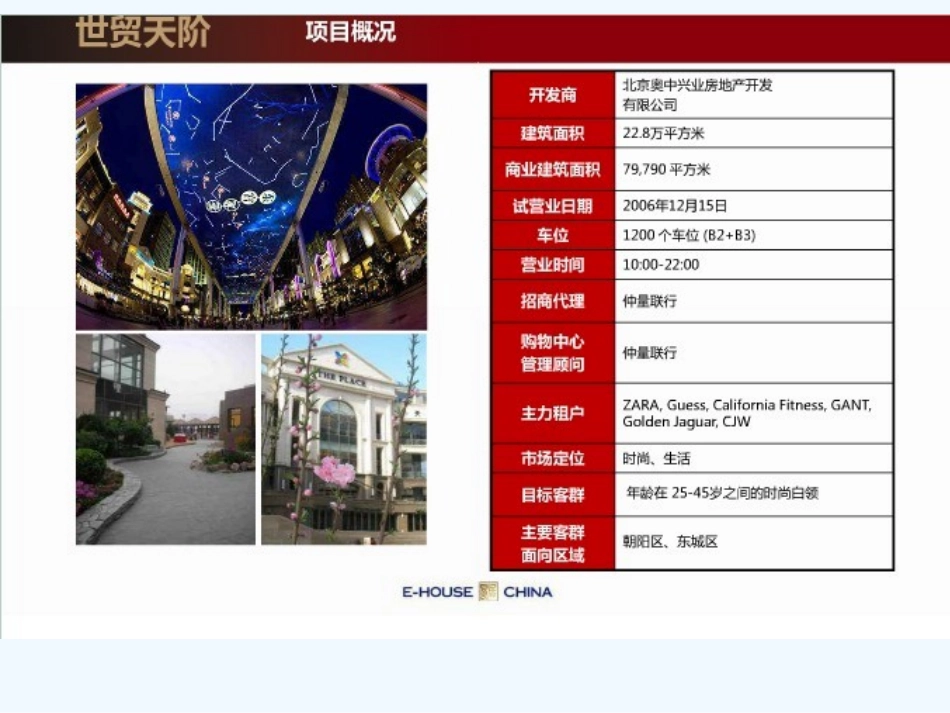 案例分析世贸天阶_第2页