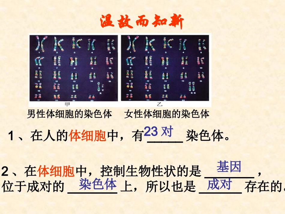 八年级生物北师大版性状遗传有一定的规律性_第2页