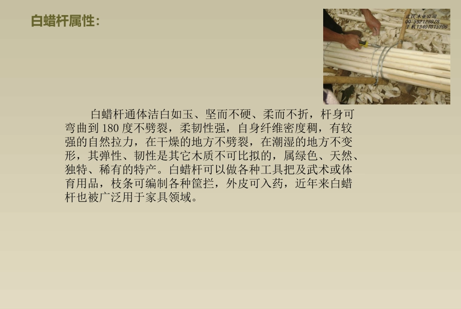 白蜡杆调研报告_第3页