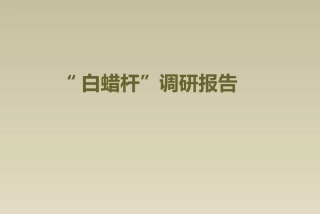 白蜡杆调研报告