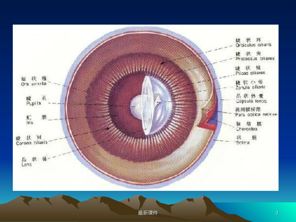 白内障课件课件_第3页