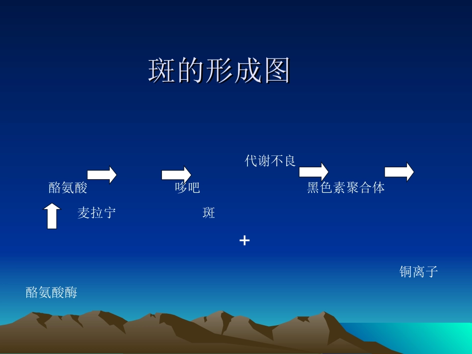 斑的形成和分类_第3页
