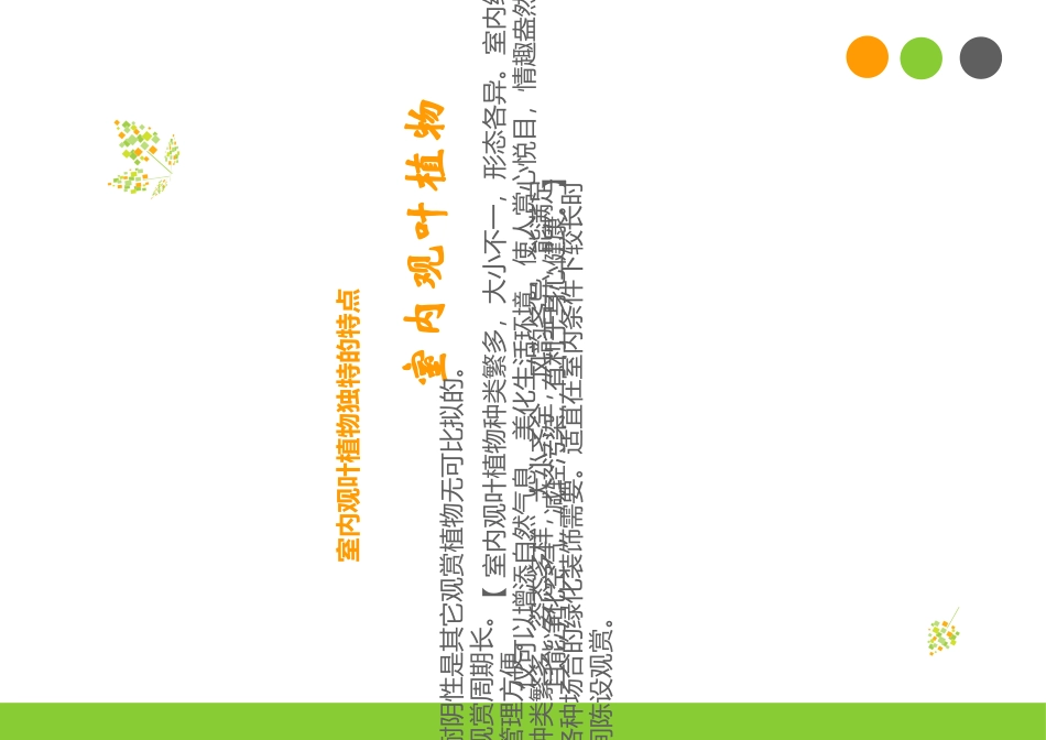 办公室绿植养护方法专题培训课件_第2页