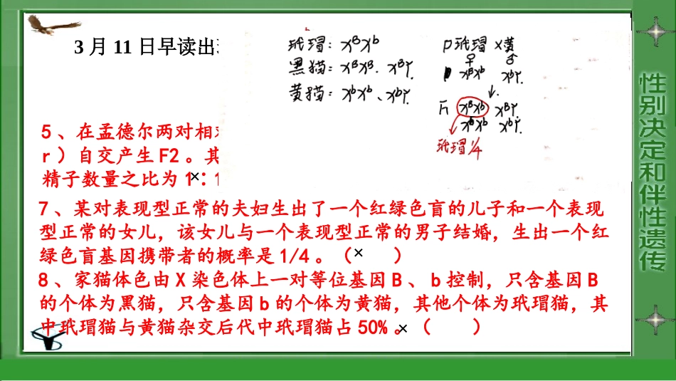 伴性遗传的应用_第2页
