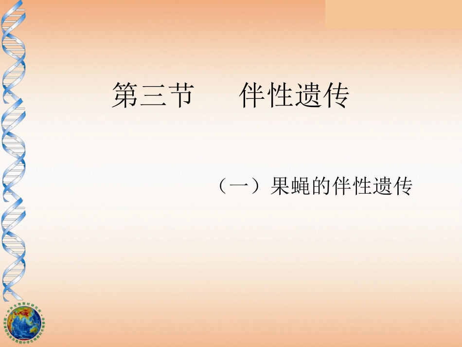 伴性遗传果蝇的伴性遗传解读_第1页