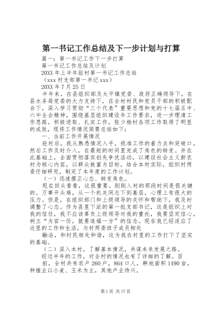 第一书记工作总结及下一步计划与打算