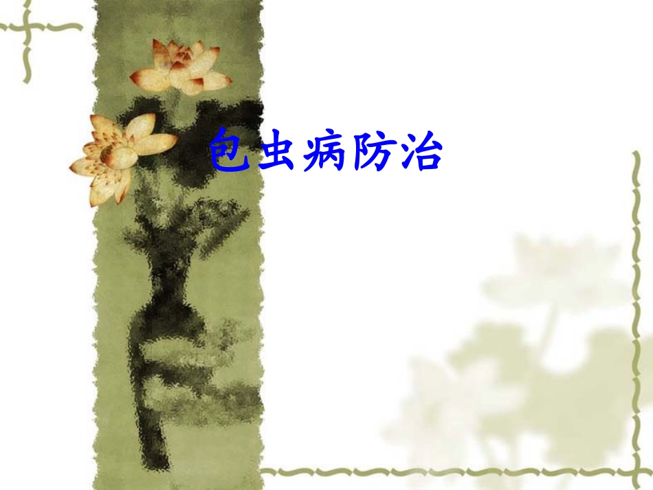 包虫病防治知识培训课件_第1页