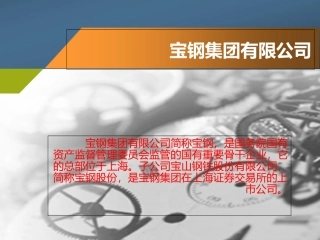 宝钢财务分析