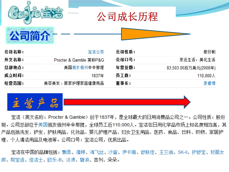 宝洁公司财务报表分析_第3页