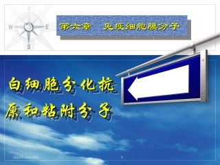 北京大学免疫学免疫细胞膜分子