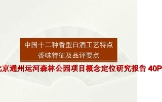 北京通州运河森林公园项目概念定位研究报告