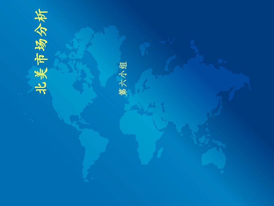 北美市场分析_第1页