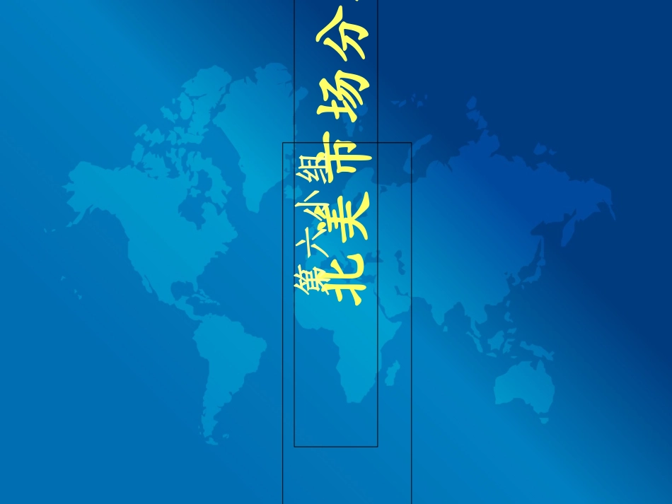 北美市场分析报告_第1页