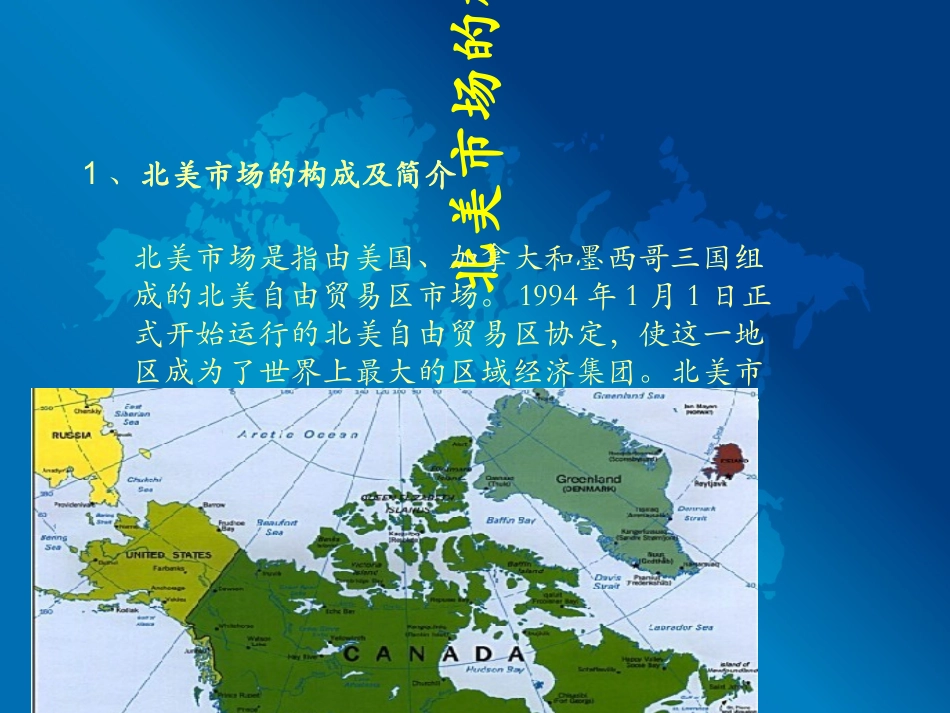 北美市场分析报告_第3页