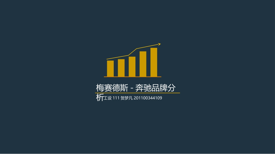 奔驰调研报告_第1页