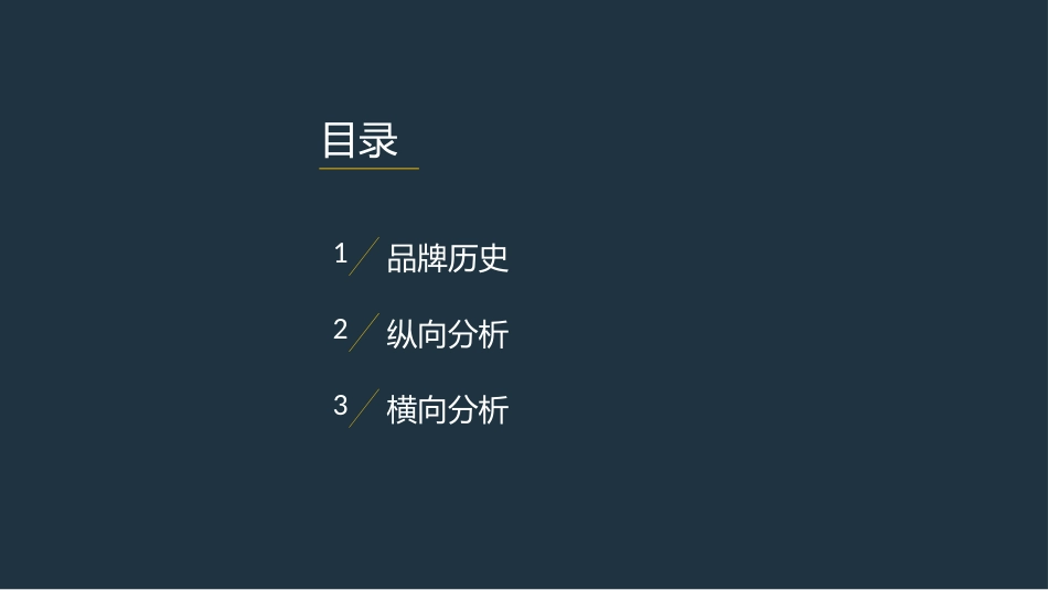 奔驰调研报告_第2页