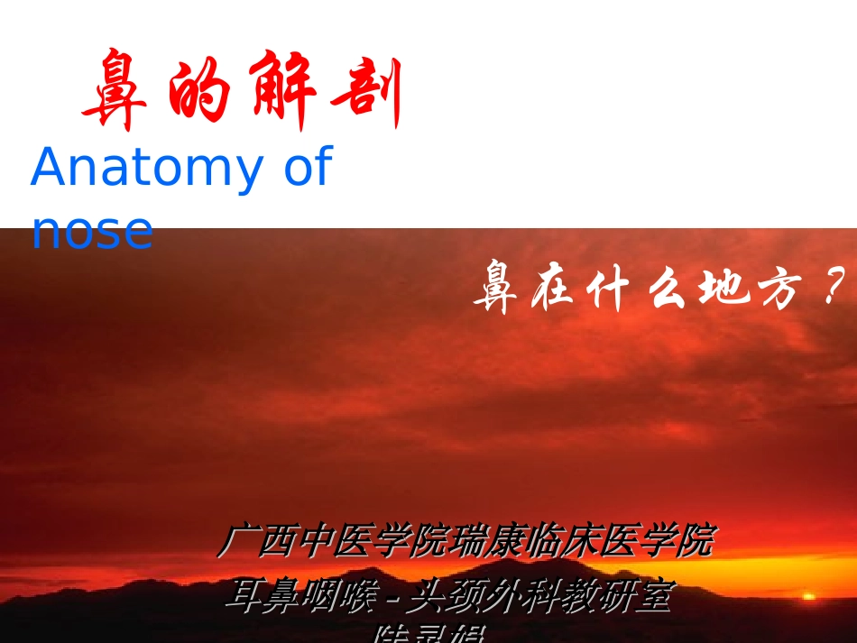 鼻部解剖优质课件_第2页