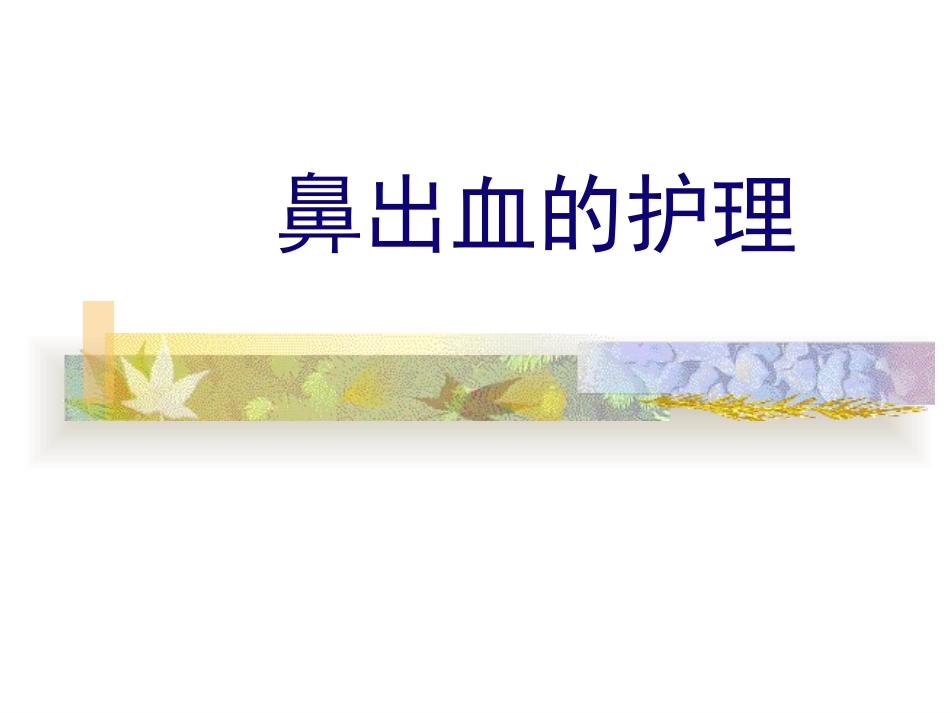 鼻出血的护理_第1页