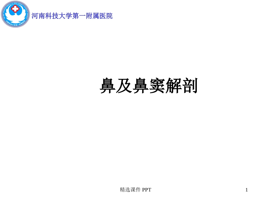鼻及鼻窦解剖课件_第1页