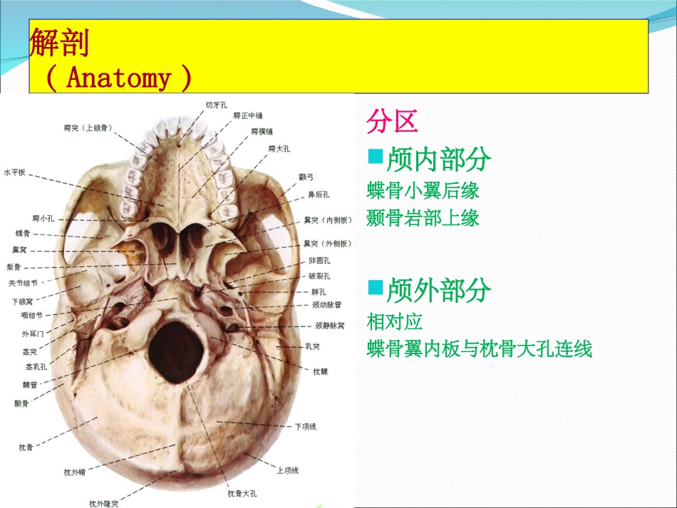 鼻内镜颅底外科教学_第3页