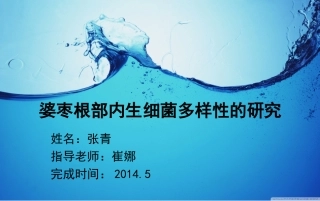 毕业论文答辩专题课件